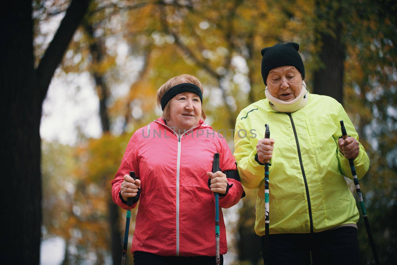 Two elderly women are involved in Scandinavian walking in the park. Mid shot. Autumn