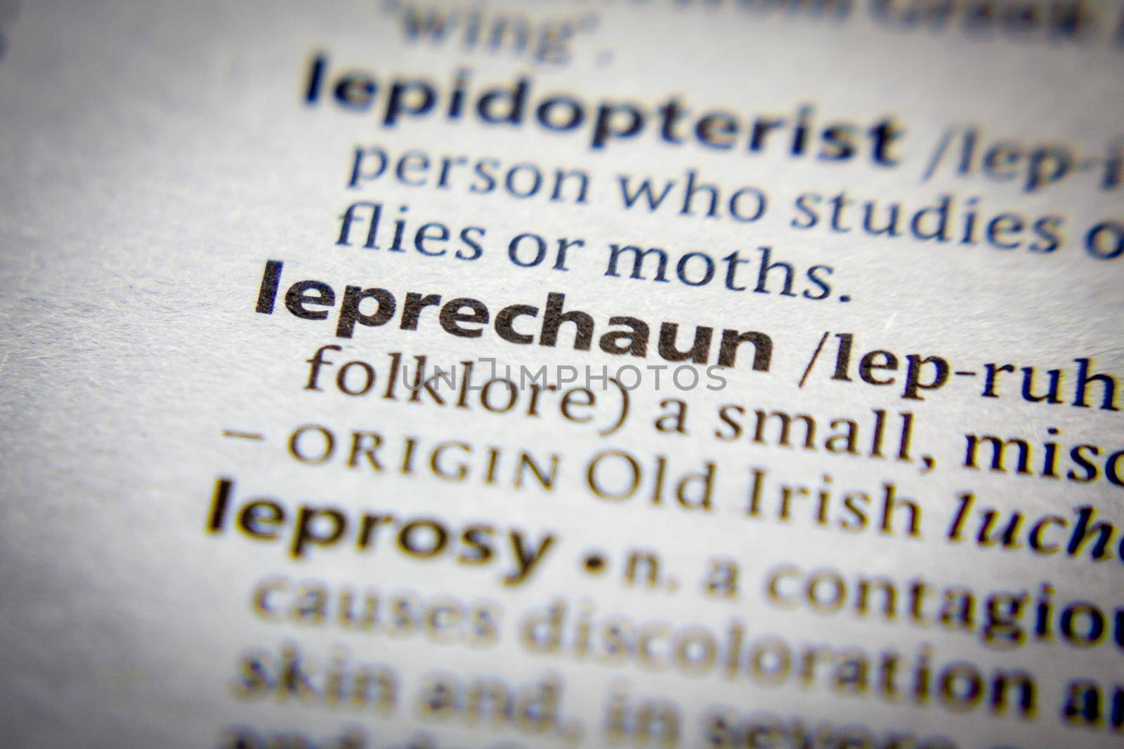 Word or phrase Leprechaun in a dictionary