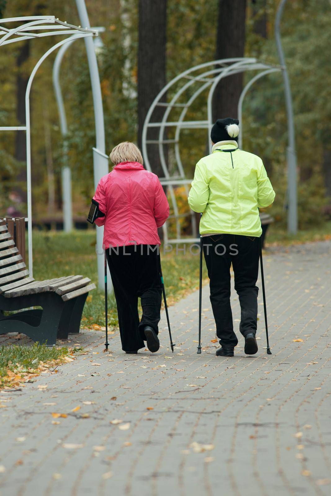 Mature women are doing Scandinavian walking in autumn in the park next to the bench. Wide shot