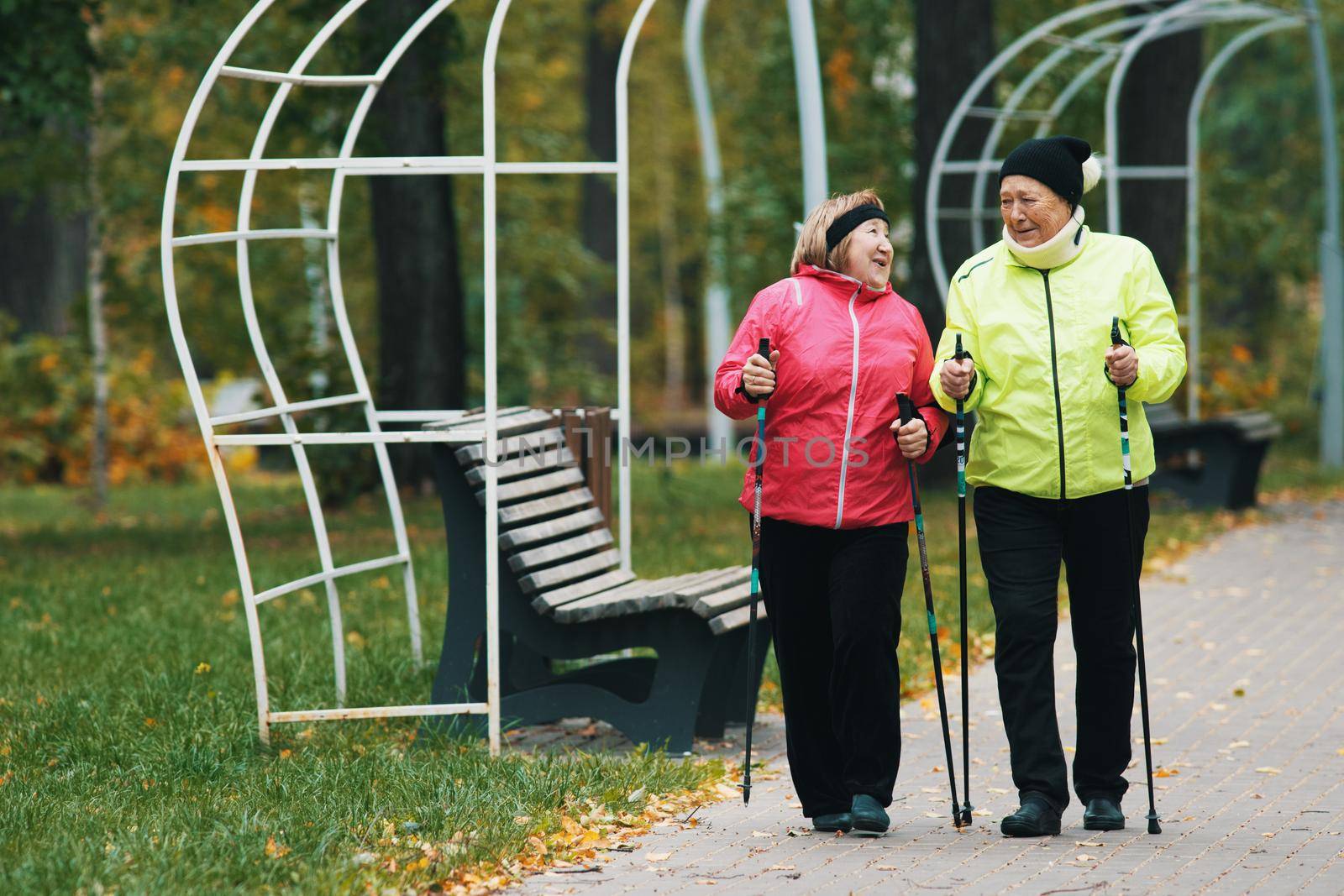 Mature women are engaged in Scandinavian walking in autumn in the park next to the bench. Wide shot