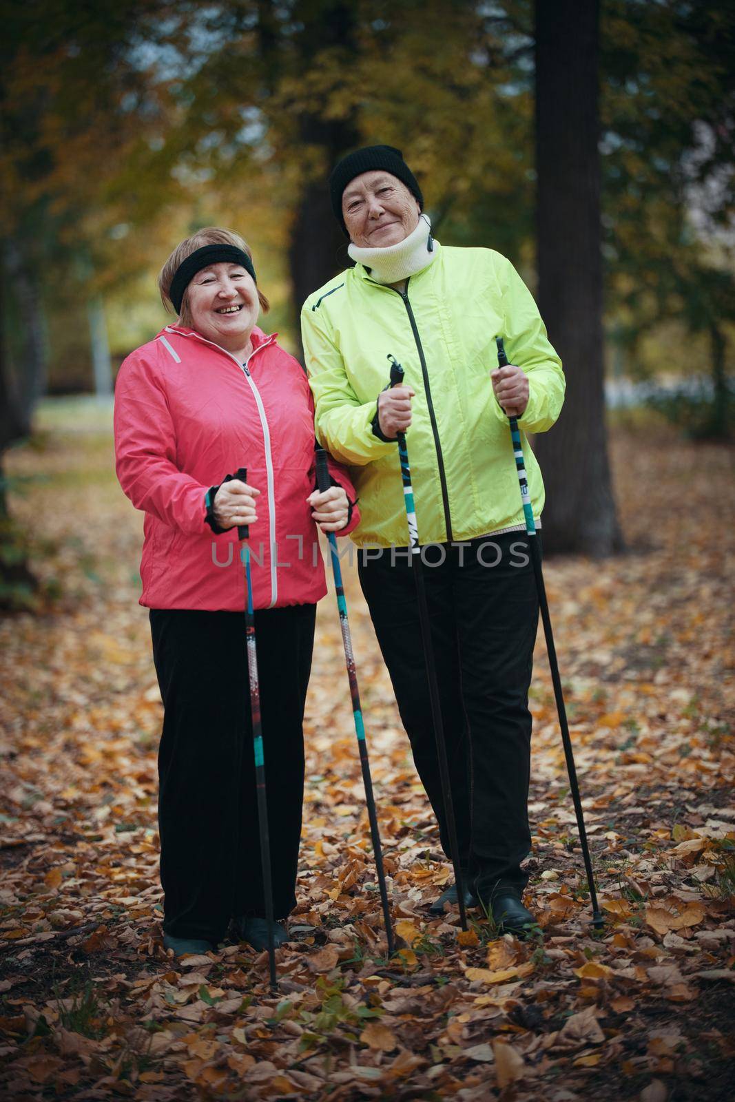 Two elderly women are standing in a park with sticks for nordic walking. Wide shot