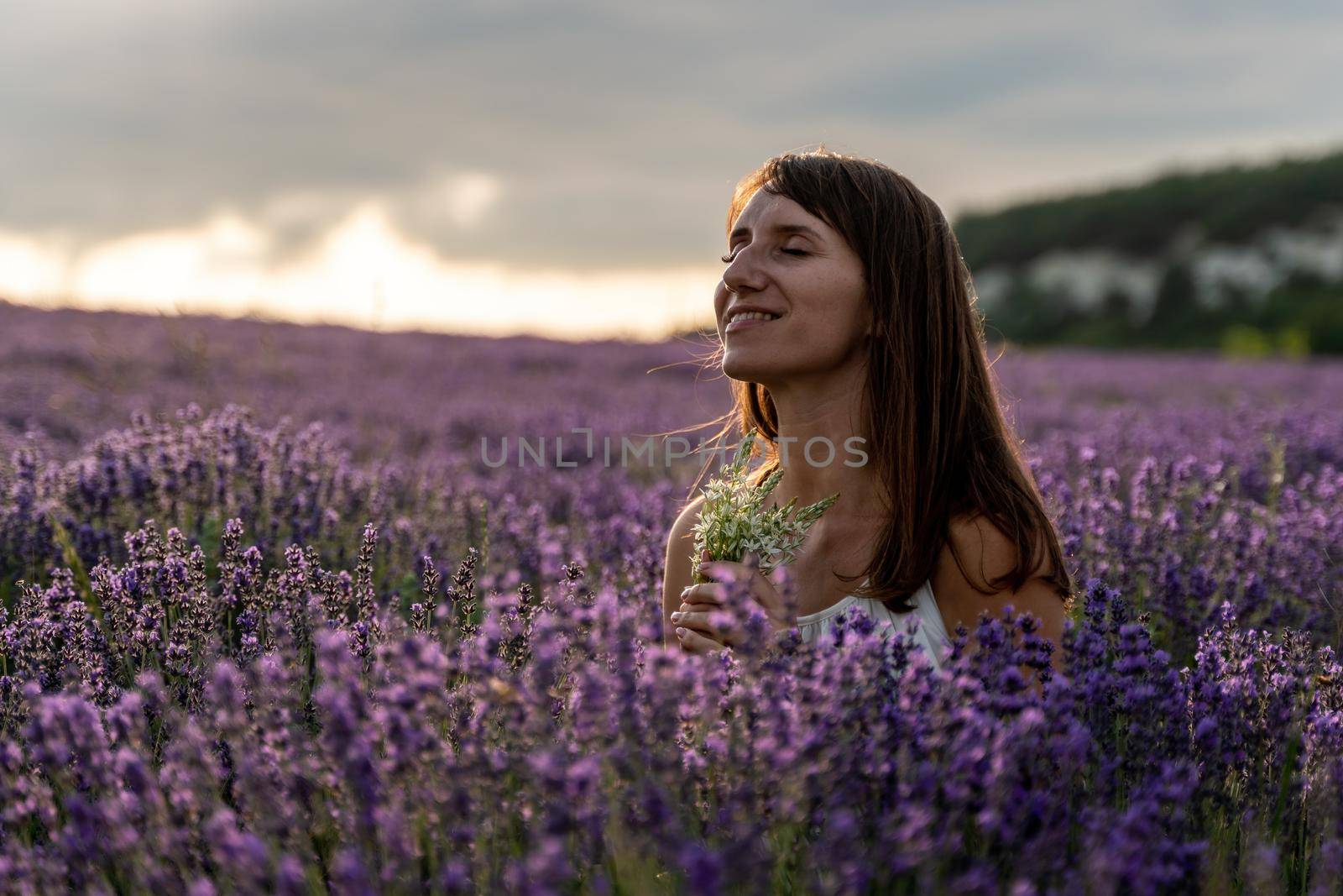 Close up portrait of happy young brunette woman in white dress on blooming fragrant lavender fields with endless rows. Warm sunset light. Bushes of lavender purple aromatic flowers on lavender fields. by panophotograph