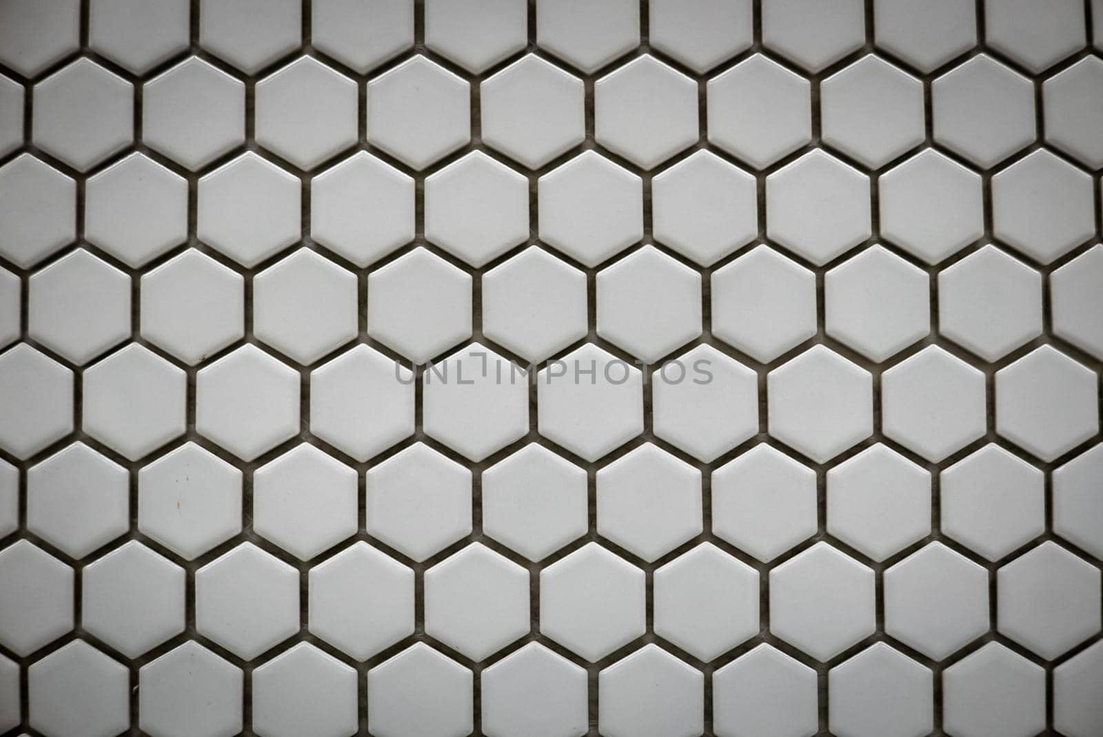 White ceramic cells on the wall as background.