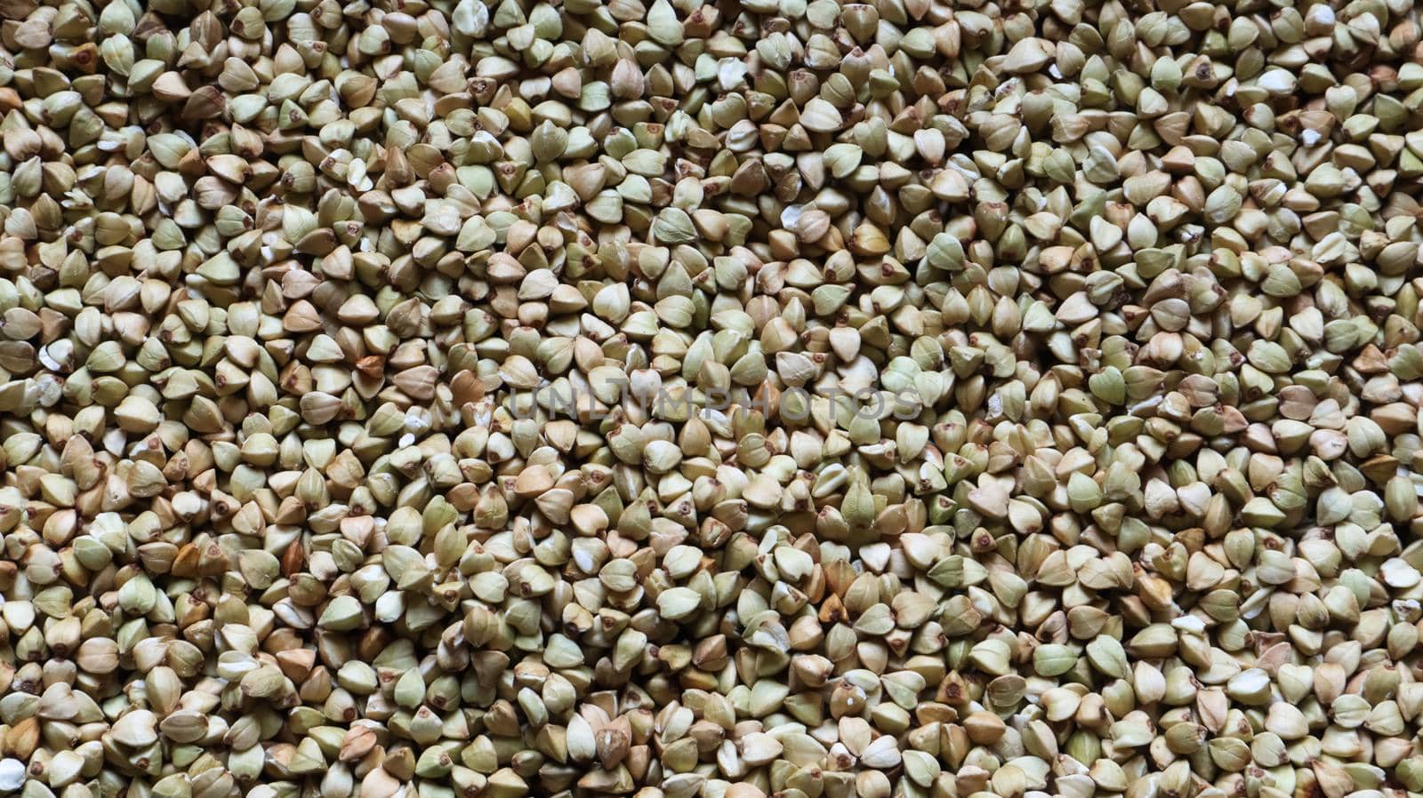 Background from raw organic green buckwheat porridge, vegan food. Texture of scattered buckwheat groats. Seeds are triangular in shape. Organic food. The concept of diet, weight loss, healthy eating