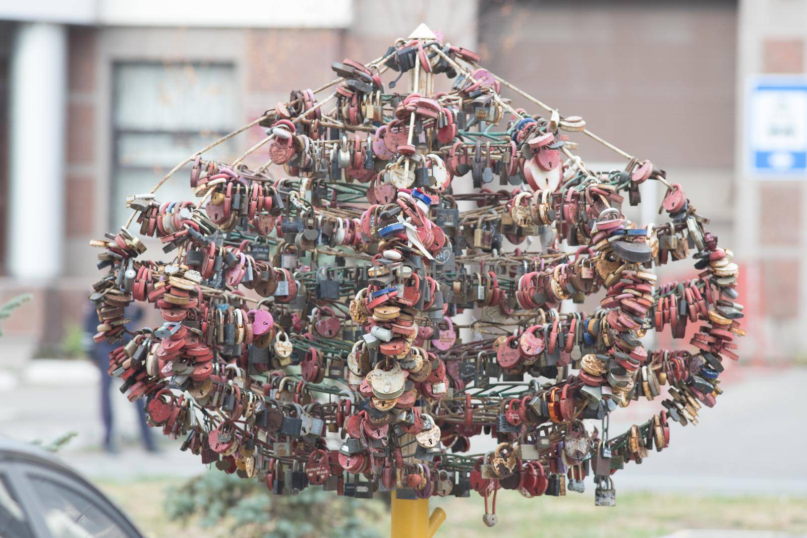 Love tree with colorful locks standing in the courtyard. Wide shot