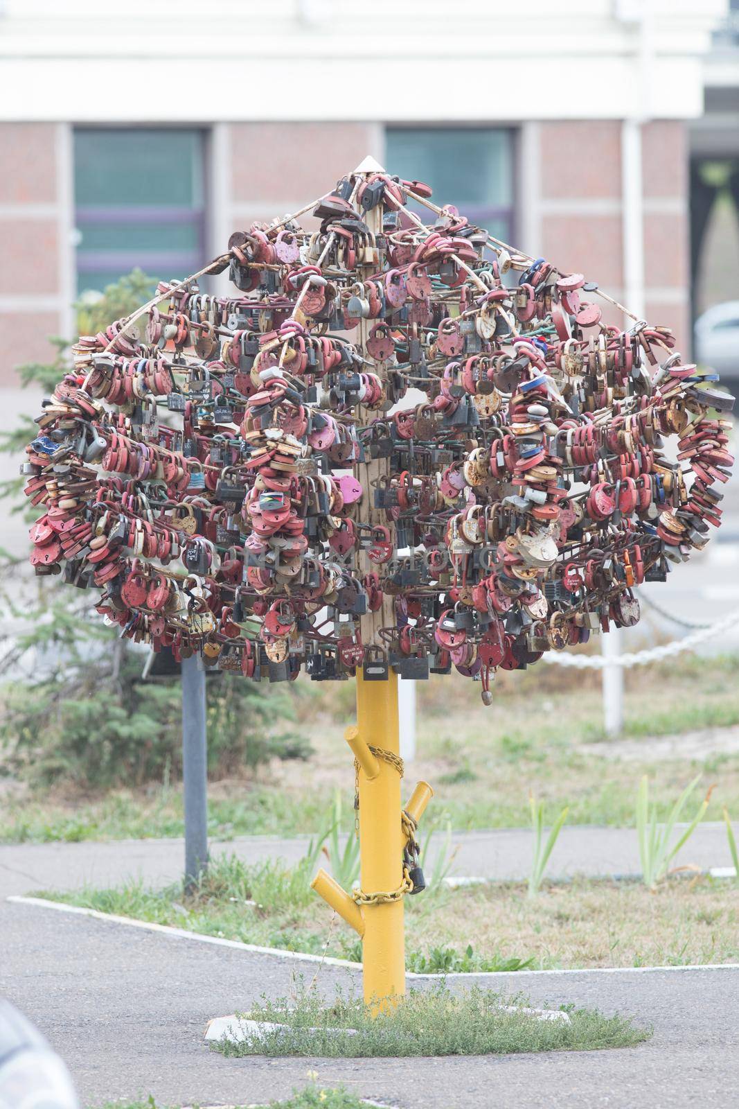 Love tree with colorful locks standing in the courtyard on the house background. Wide shot