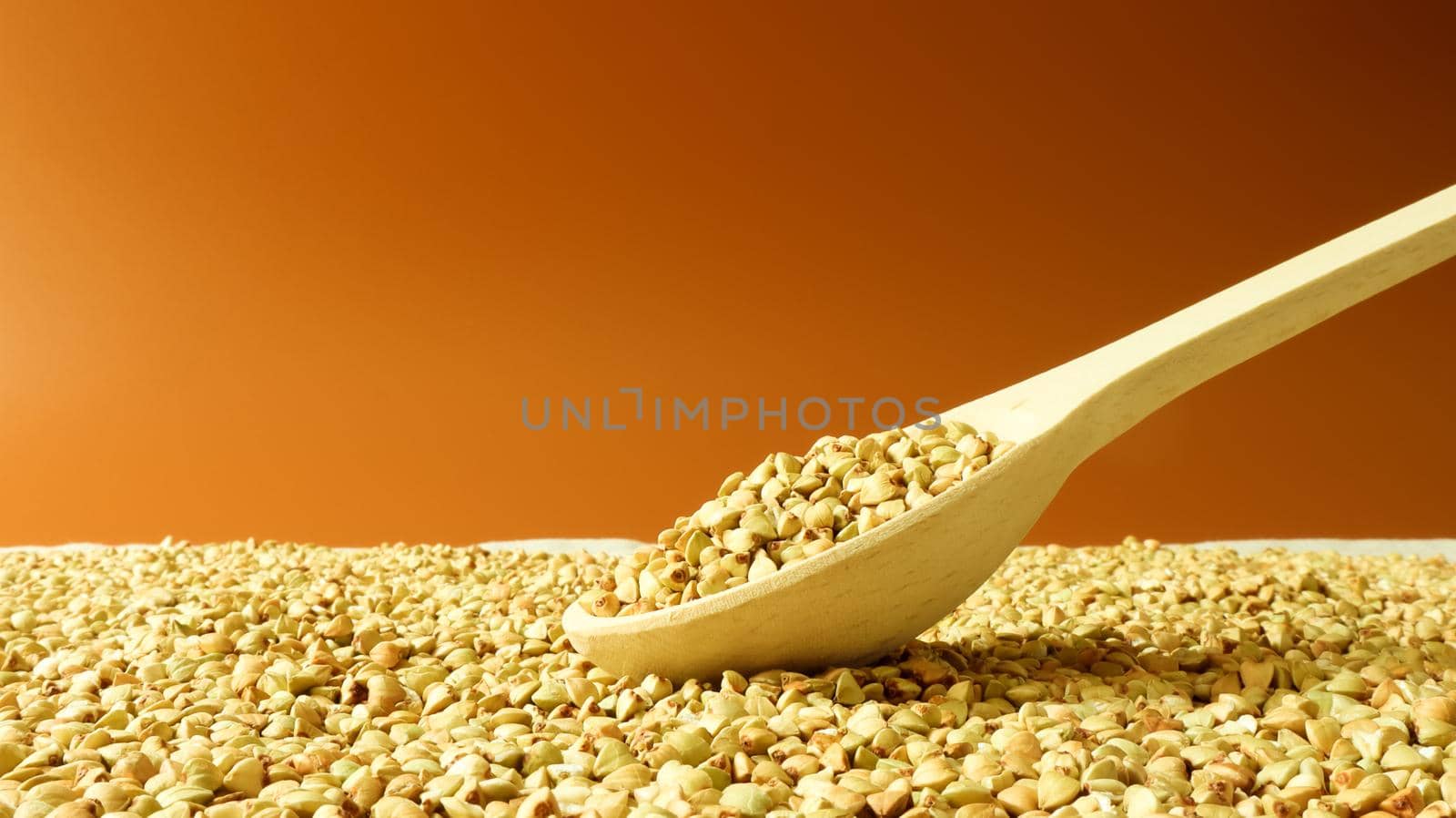 Buckwheat scattered background, raw green cereal in a wooden spoon. Healthy groats. Organic raw non-fried vegetarian food. The concept of a healthy and balanced diet. Diet product. healthy groats