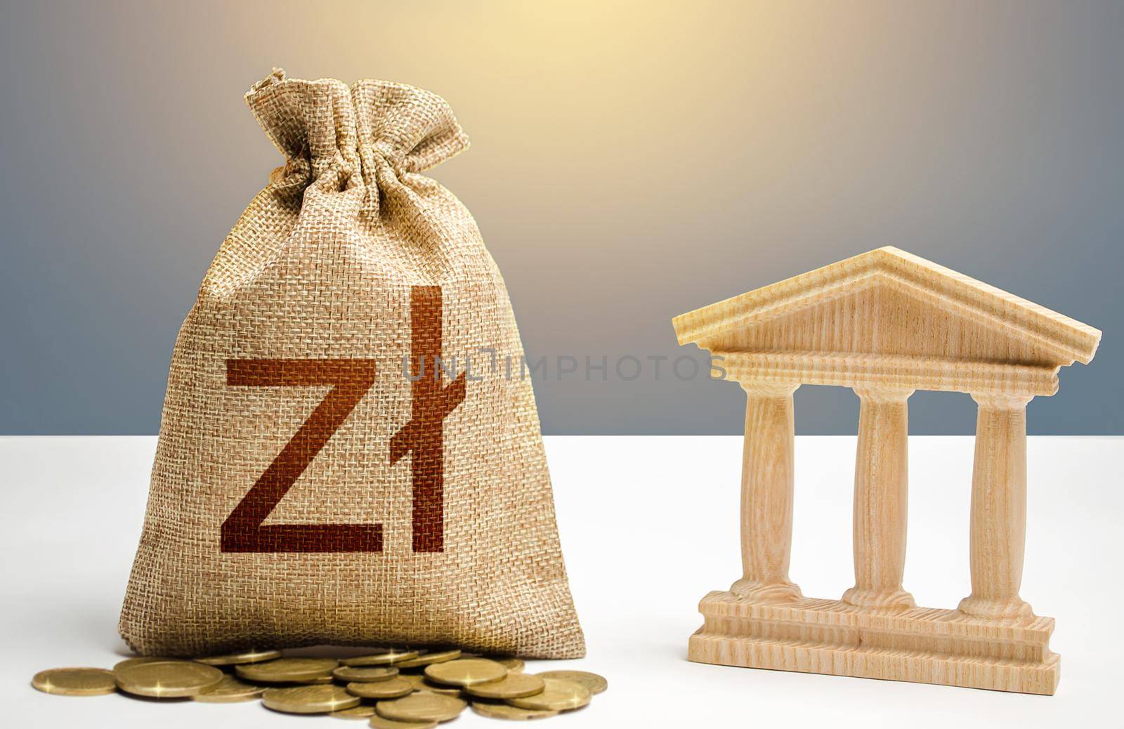Polish zloty money bag and bank / government building. Budgeting, national financial system. Resource allocation. Support businesses in crisis. Lending loans, placing deposits. Monetary policy.
