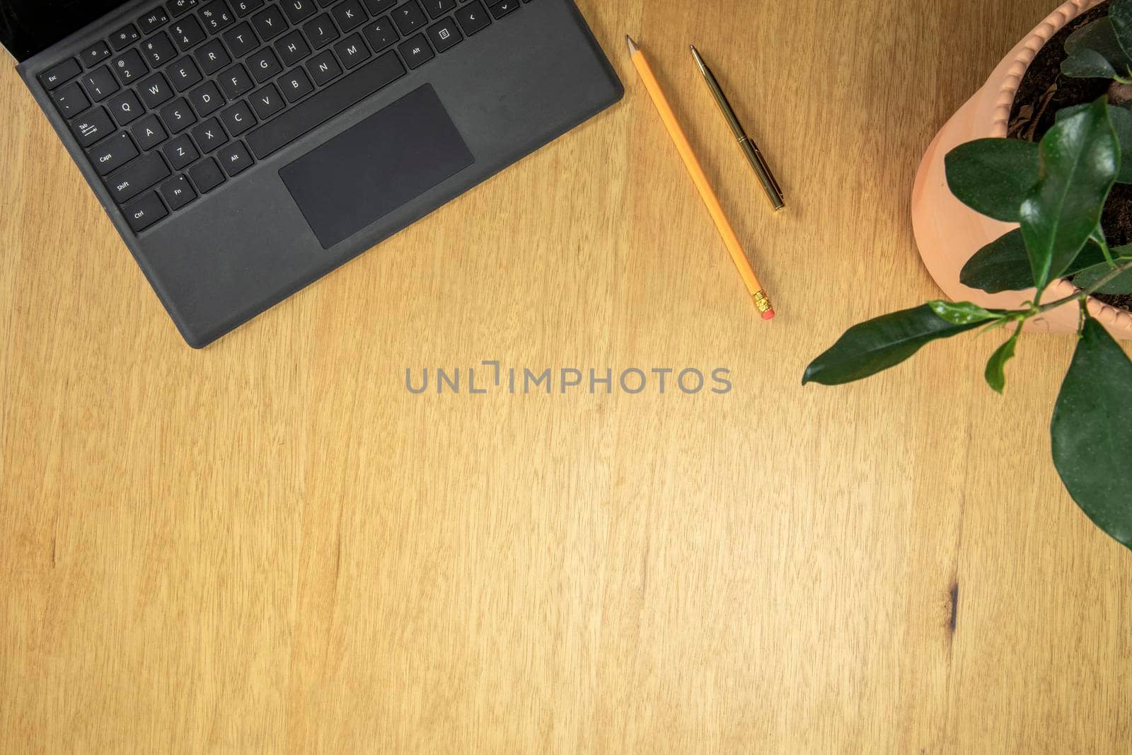 Flat lay of top view desk work table with computer laptop and stationary in home office brown wood table includes copyspace for add text or graphic green stylish plant.