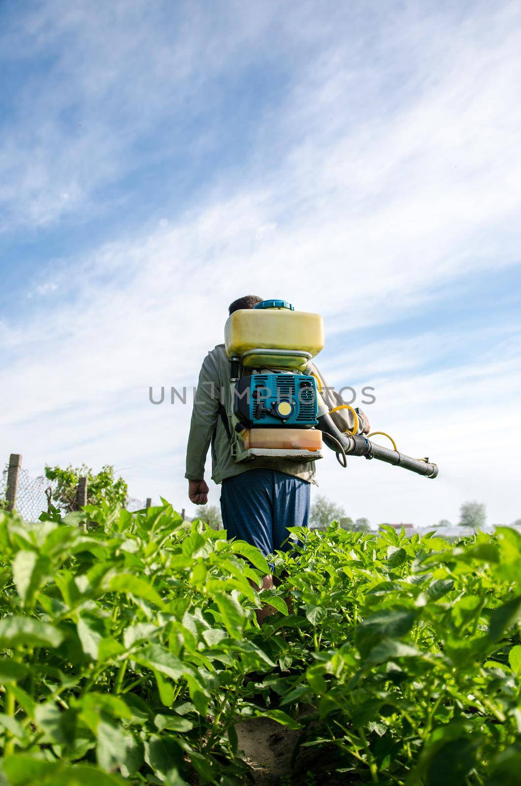 Farmer with a mist sprayer walks through farm field. Protection of cultivated plants from insects and fungal infections. Use of chemicals for crop protection in agriculture. Farming growing vegetables