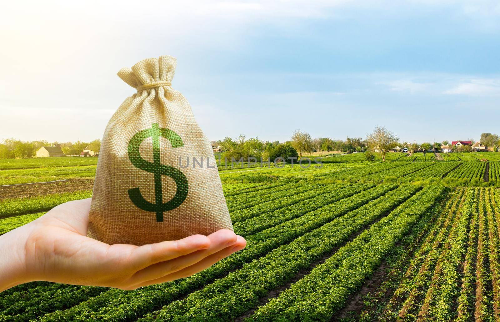 Dollar money bag on farm field. Lending and subsidizing farmers. Grants, financial support. Agribusiness profit. Land tax. Agricultural startups. Secured loan. Investment. Land value valuation. by iLixe48