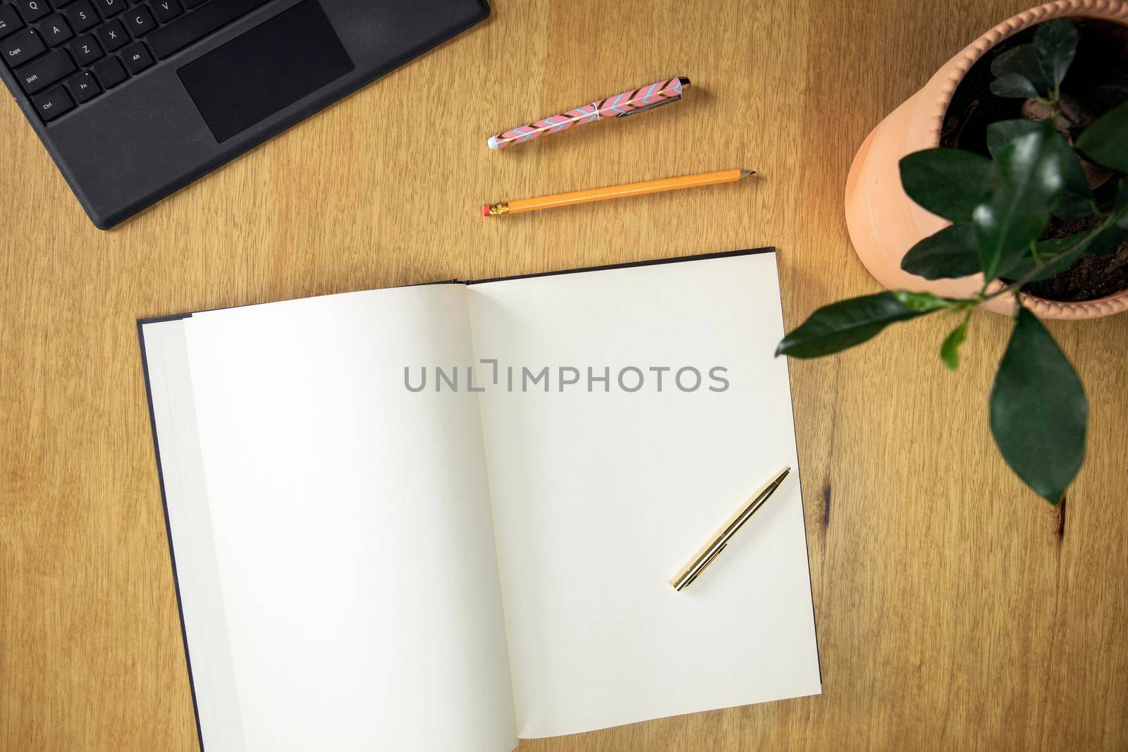 Office desk table with computer, supplies, green stylish plant and blank note book Top view with copy space space for text