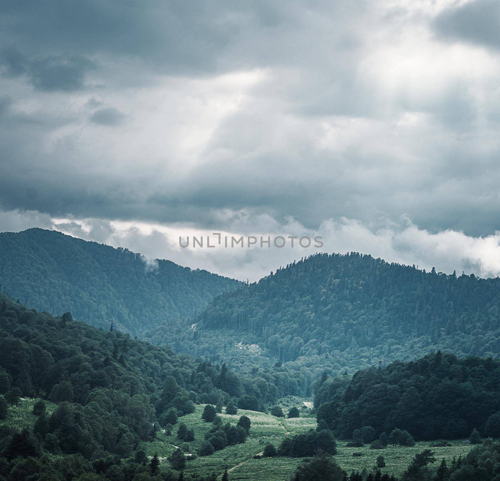 Mountain valley with green forest in cloudy rainy weather in summer season.