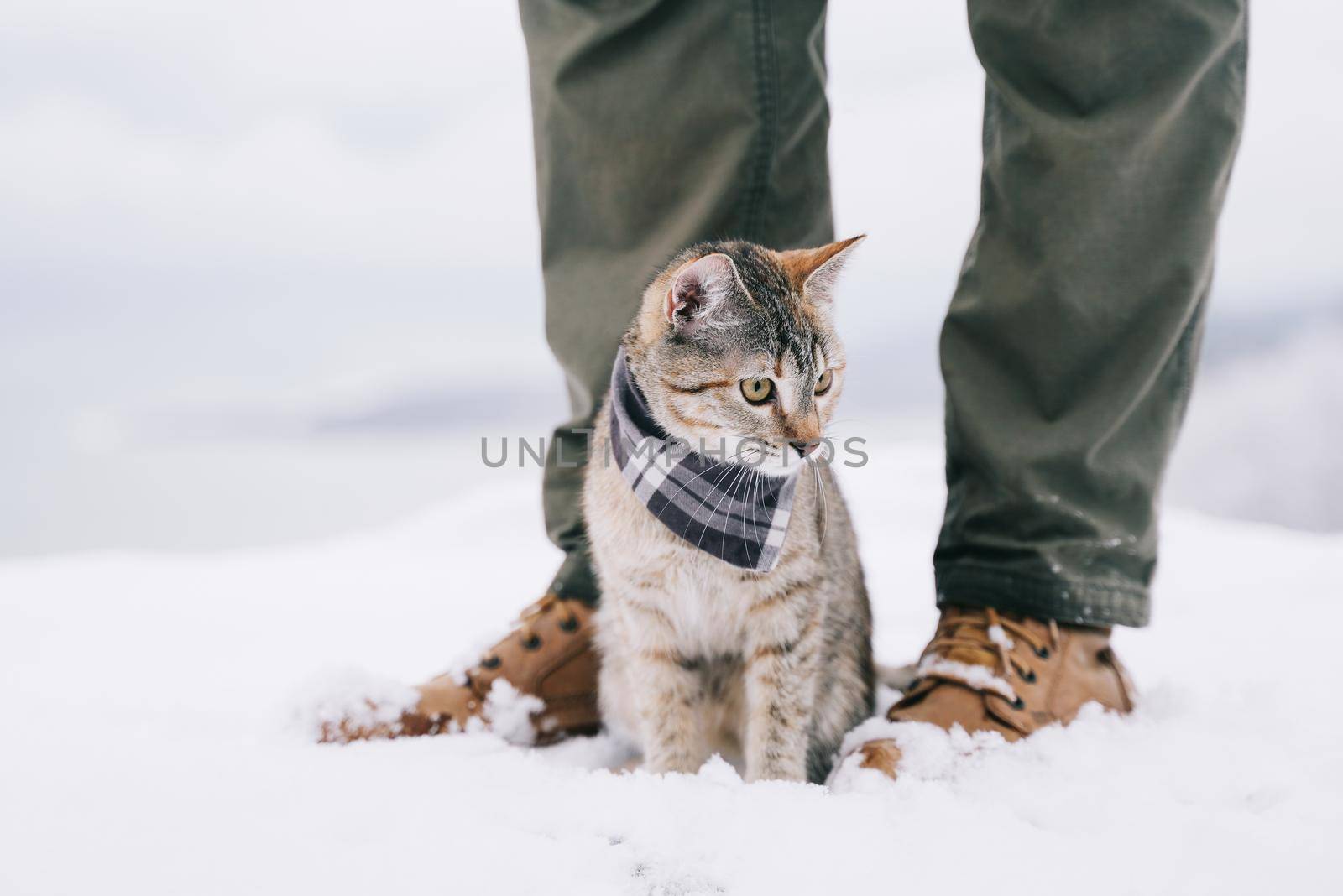 Traveler man with cute cat walking in the winter outdoor.