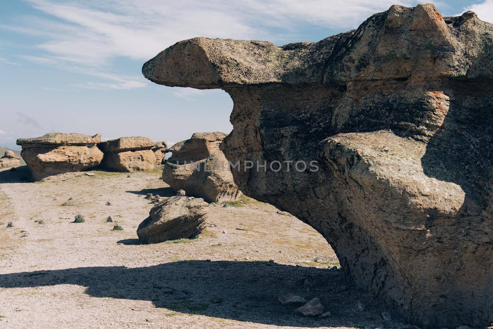 Stone mushrooms of mountain Elbrus. by alexAleksei