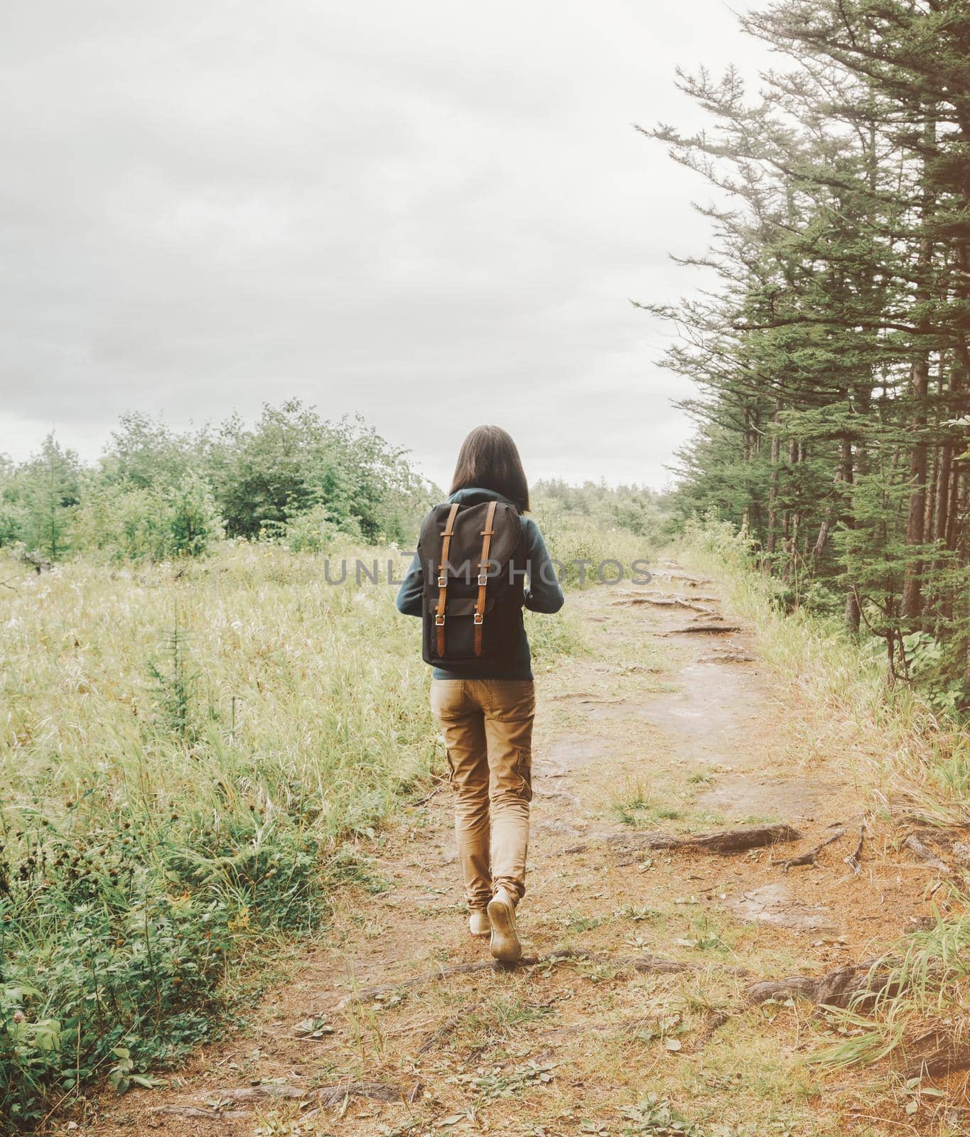 Backpacker girl walking on footpath in summer forest. by alexAleksei