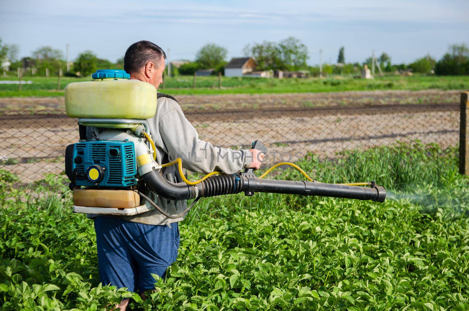 A farmer sprays chemicals on a potato plantation field. Control of use of chemicals growing food. Increased harvest. Protection of cultivated plants from insects and fungal infections. by iLixe48