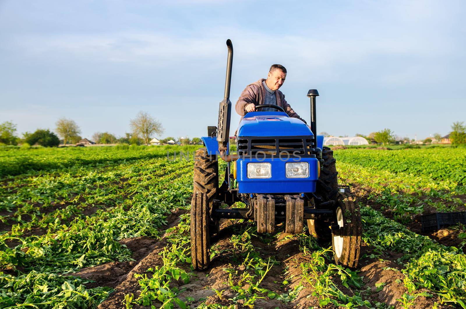 The farmer rides towards on farm field. Harvesting crops campaign, earthworks. Agro industry, agribusiness. Farming, agriculture. Harvesting potatoes in early spring. Countryside farmland. by iLixe48