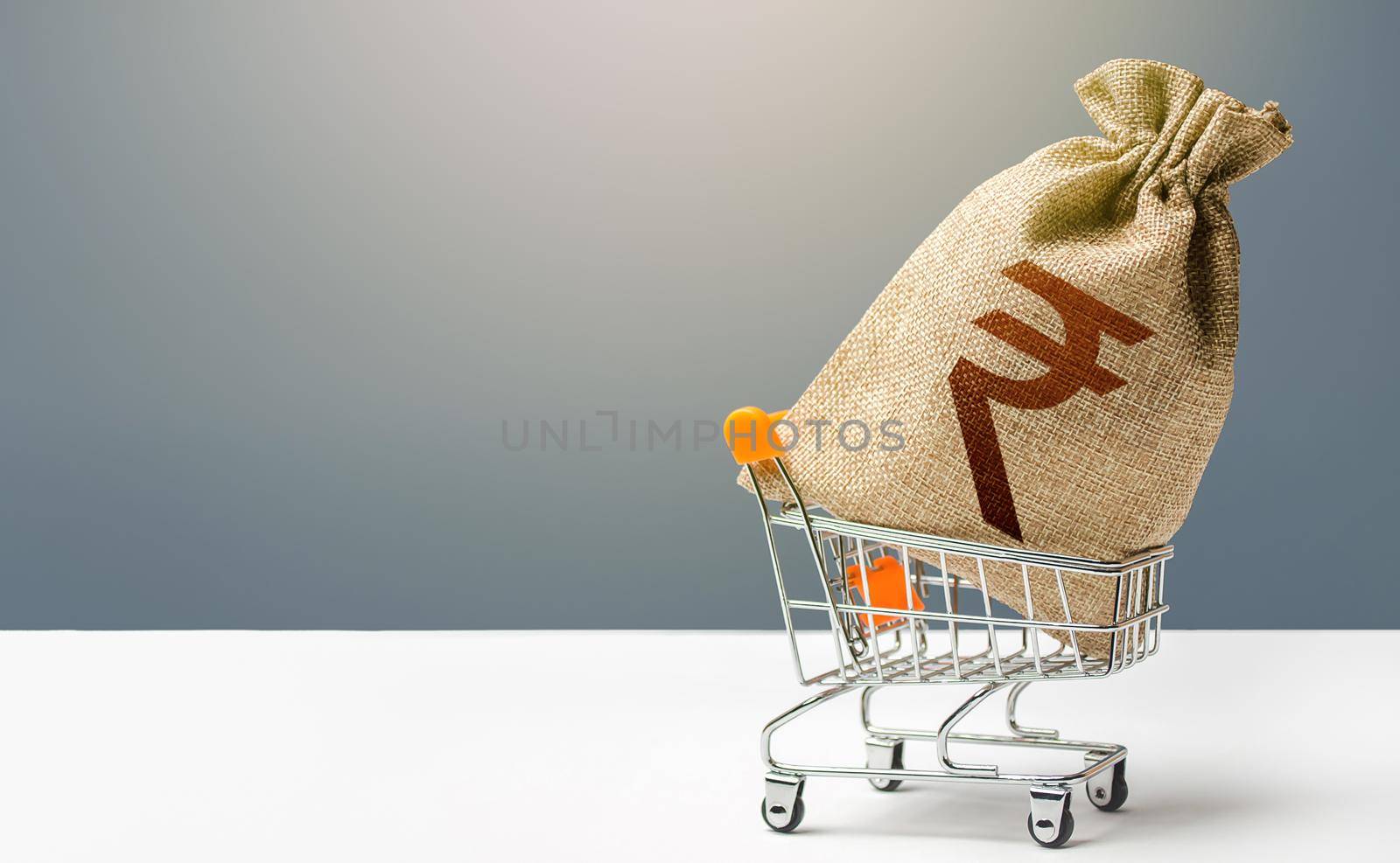 Indian rupee money bag in a shopping cart. Profits and super profits. Minimum living wage. Consumer basket. Business and trade concept. Public budgeting. Economic bubbles. Loans, microloans.