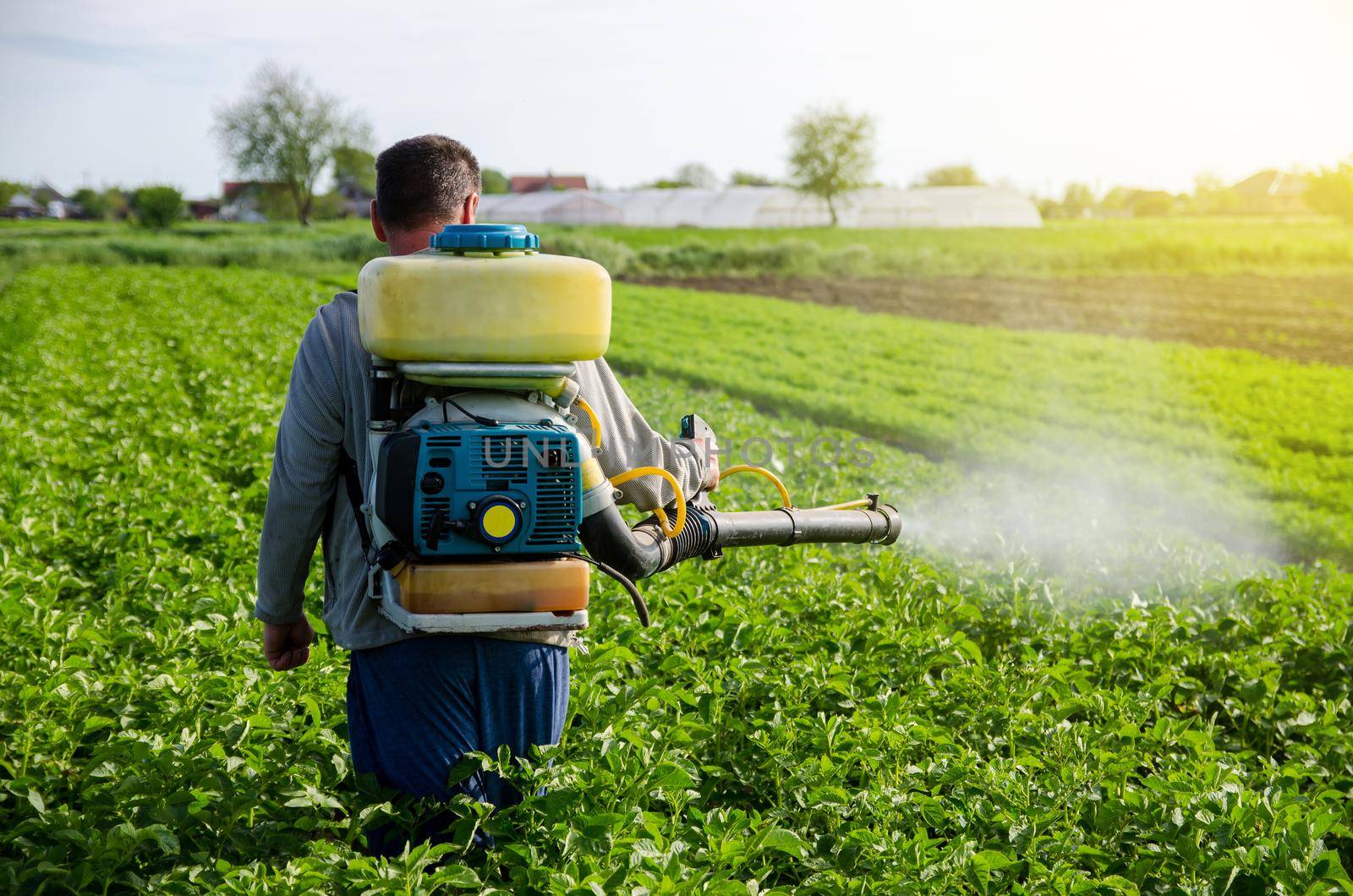 A farmer with a mist fogger sprayer sprays fungicide and pesticide on potato bushes. Effective crop protection, environmental impact. Protection of cultivated plants from insects and fungal infections