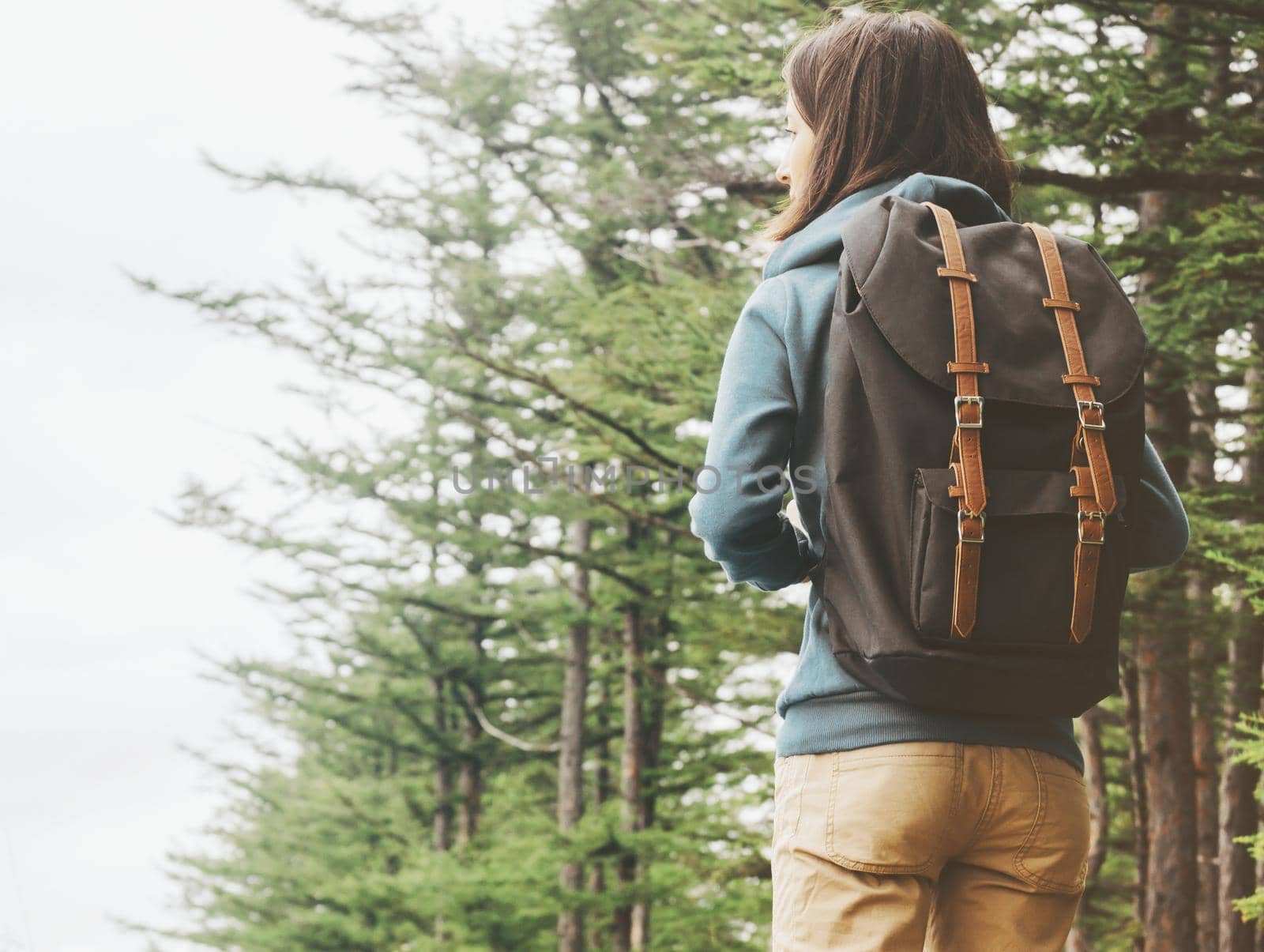 Explorer young woman with backpack walking in summer forest, rear view.