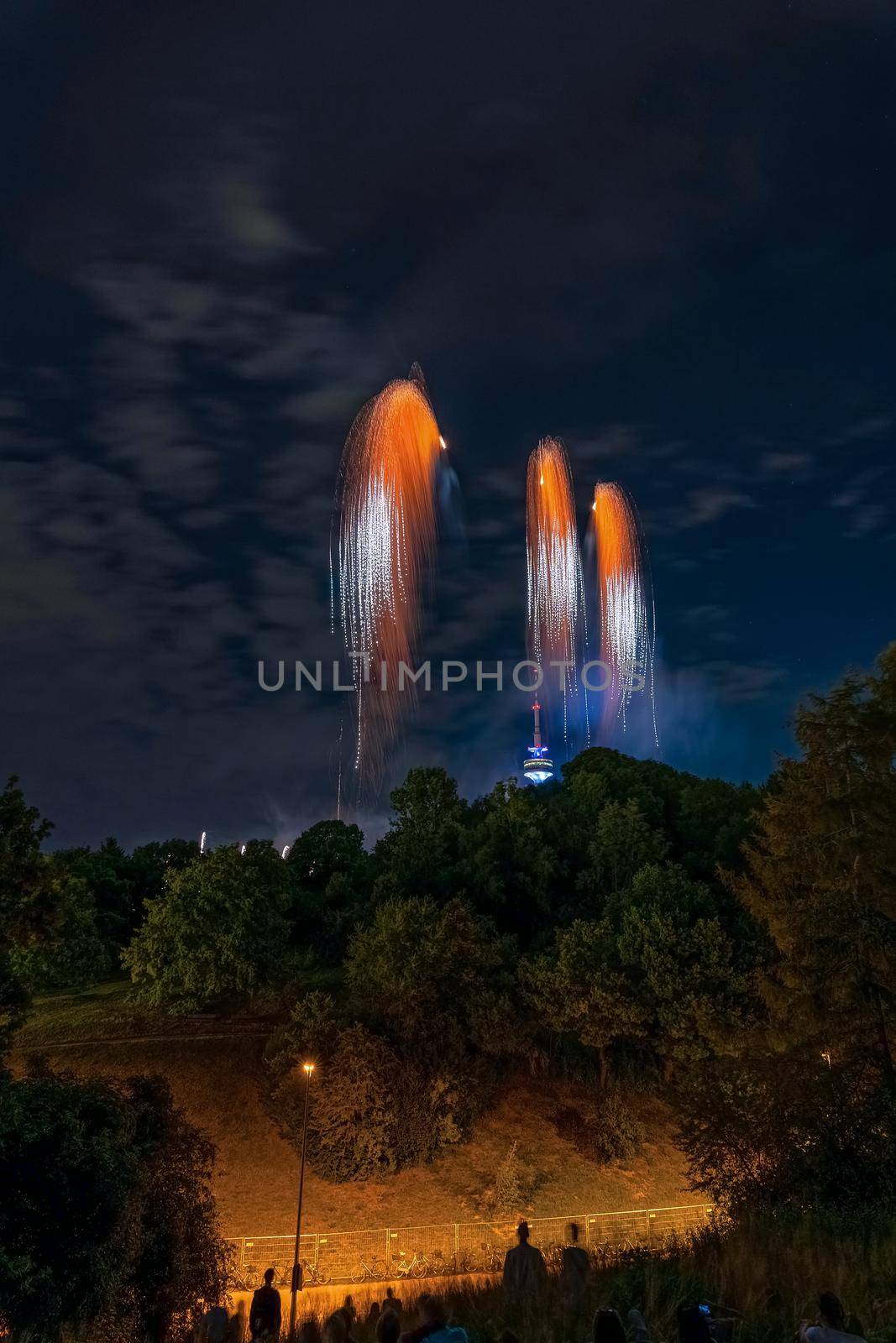 Crowd watching fireworks in a park at night that looks like 3 birds