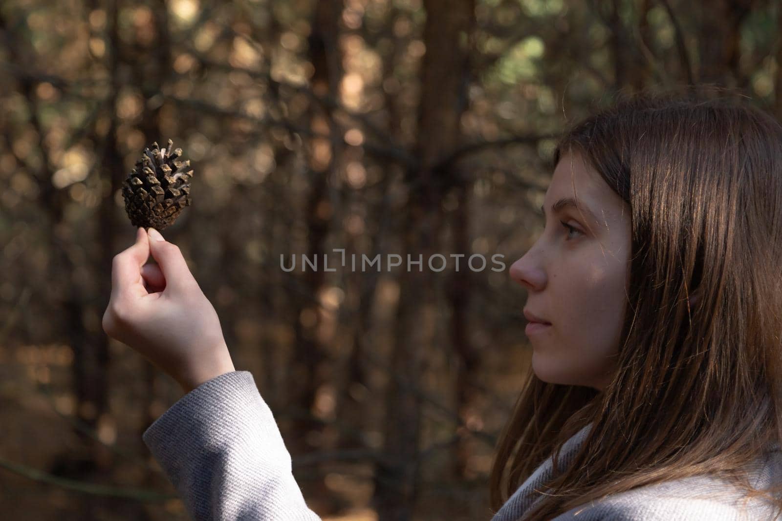 Close up of woman hand holding a pine cone with a natural blurred background. Little girl holds cone in her hands. by lunarts