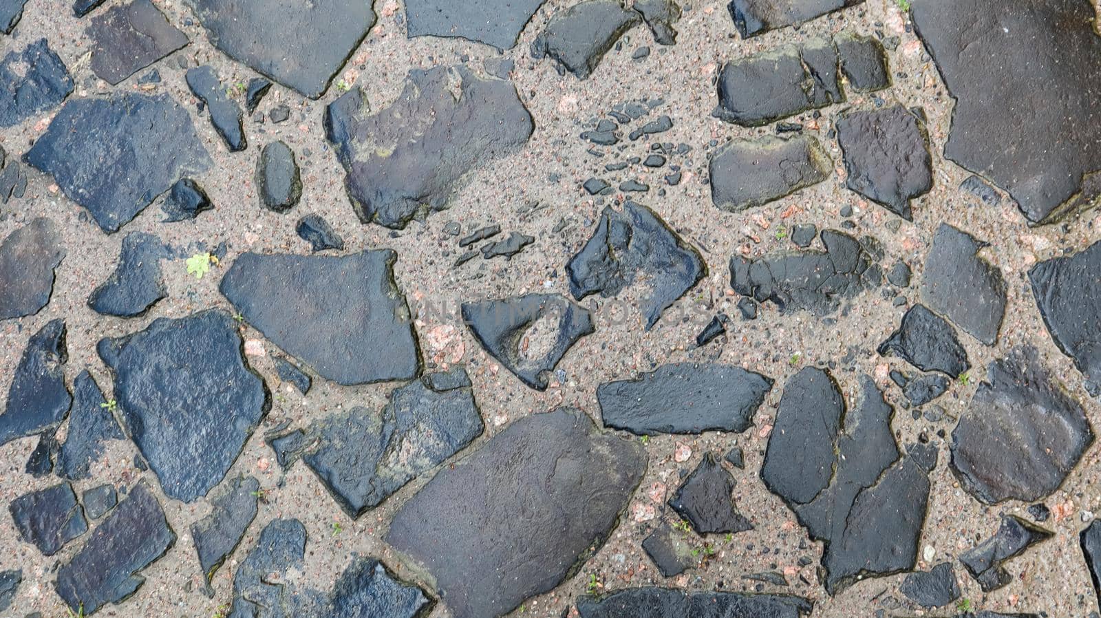 Closeup background texture of old wet pavement. An old cobblestone road for your background. Copy space. Flat lay.