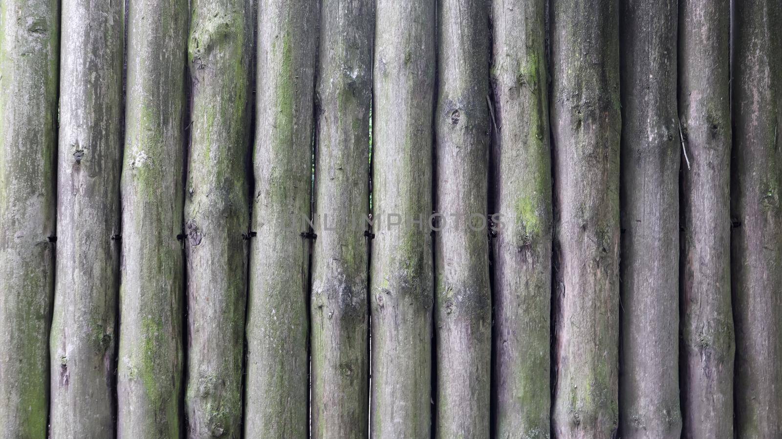 The fence is built of logs. Gray background. Rough logs wall vertical background. Old wood, natural wall material.