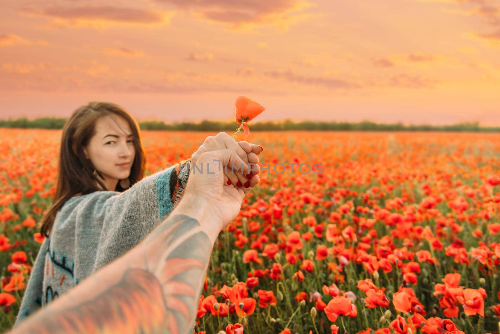 Beautiful young woman holding man's hand with red poppy and leading him in summer meadow, point of view shot. Focus on hand.