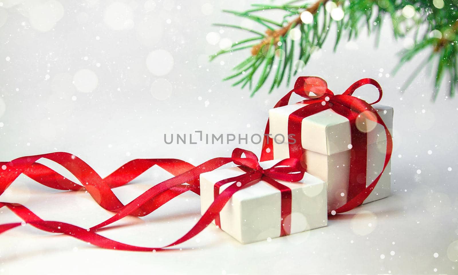 Christmas Gift in White Box with Red Ribbon on Light Background with Fir Tree. New Year Holiday Composition. Copy Space For Your Text