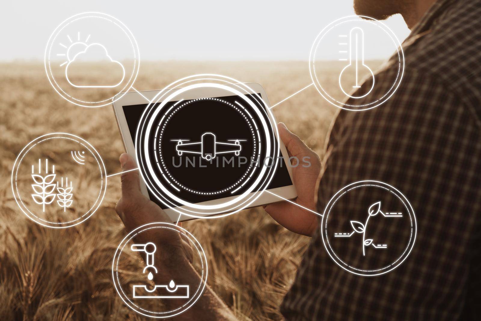 Farmer standing with digital tablet in a wheat field using modern technologies in agriculture, close up