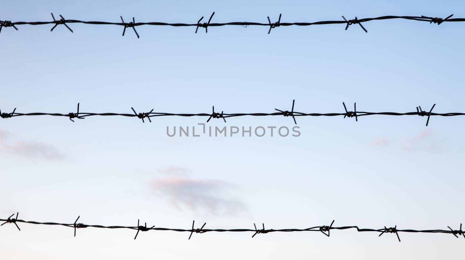 Barbed wire against a blue sky closeup. Fence or fencing in a closed area