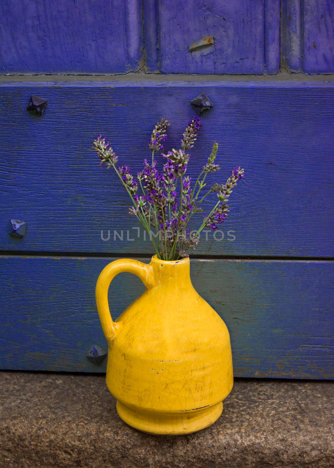 Lavender in a yellow kouvinum on a background of purple shabby door