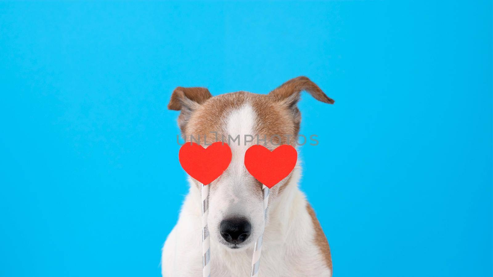 Dog with hearts instead of eyes by Demkat