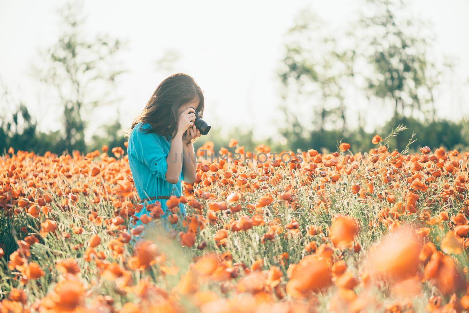 Photographer brunette young woman taking a picture with camera the poppy flower meadow in summer outdoor.