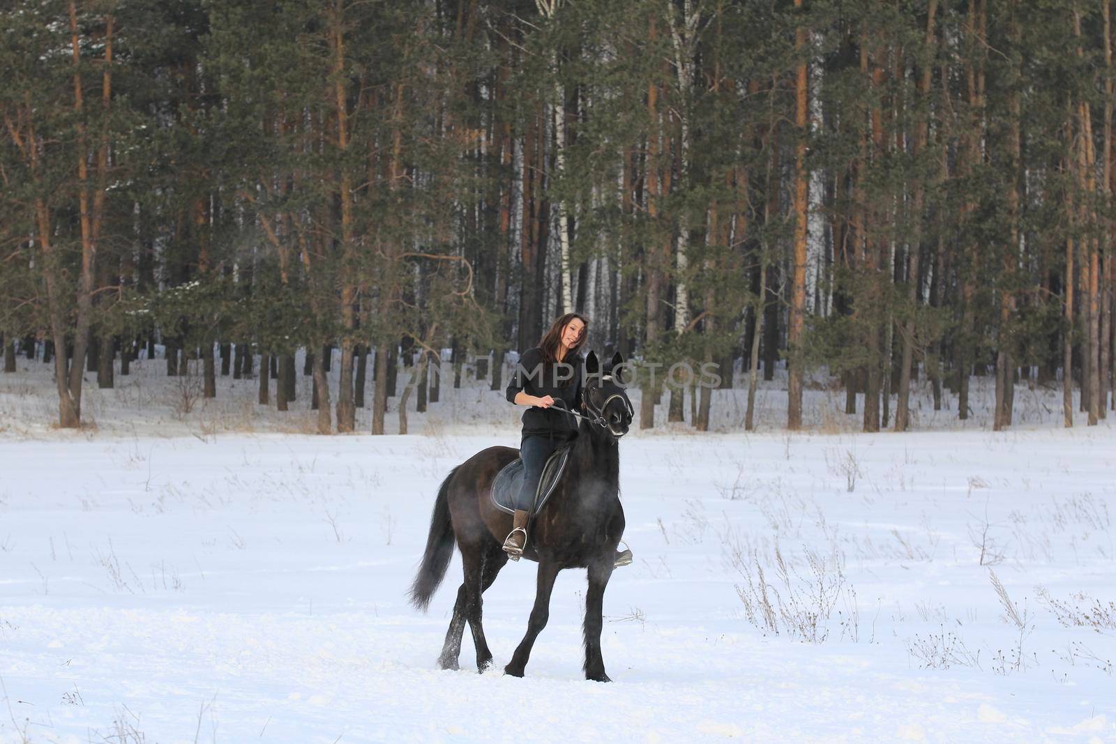 Woman on black horse in snowy forest, telephoto shot