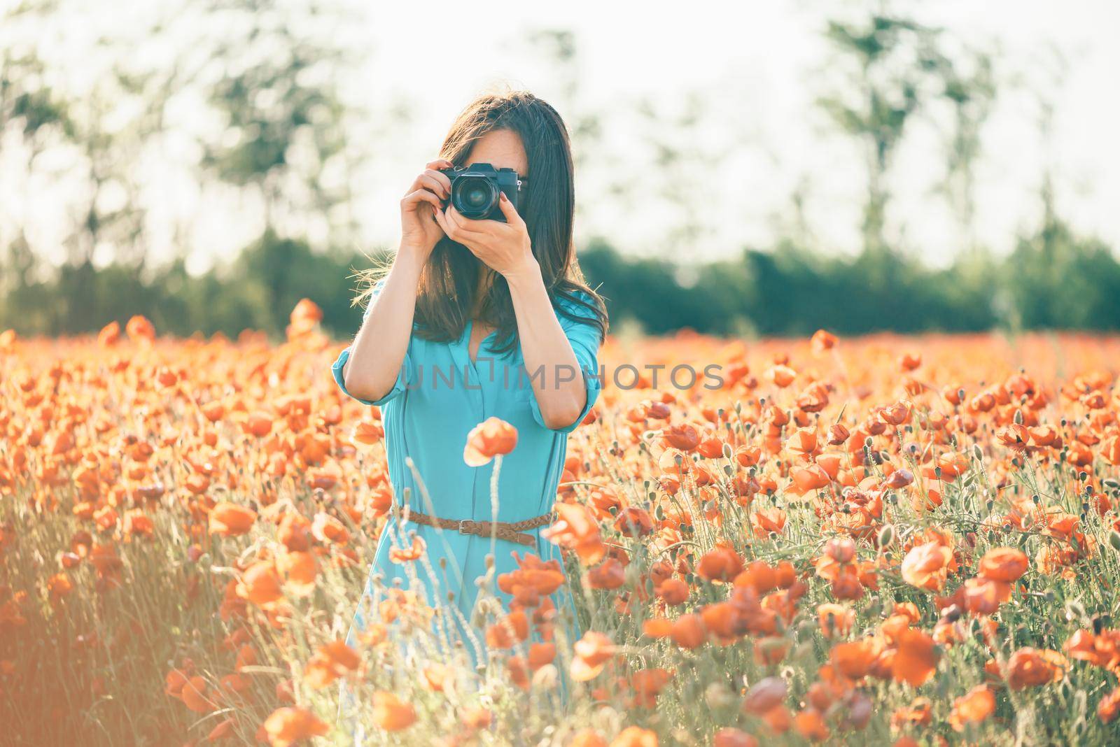 Brunette young woman photographing with a camera in poppy flower meadow in spring outdoor.