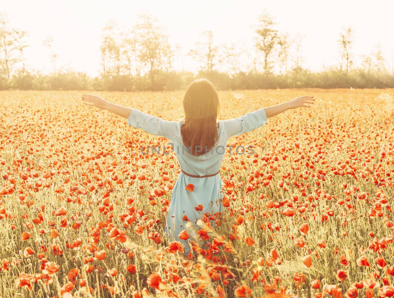 Rear view of brunette young woman walking with raised arms in flower meadow and enjoying of freedom on sunny day in summer vacations.