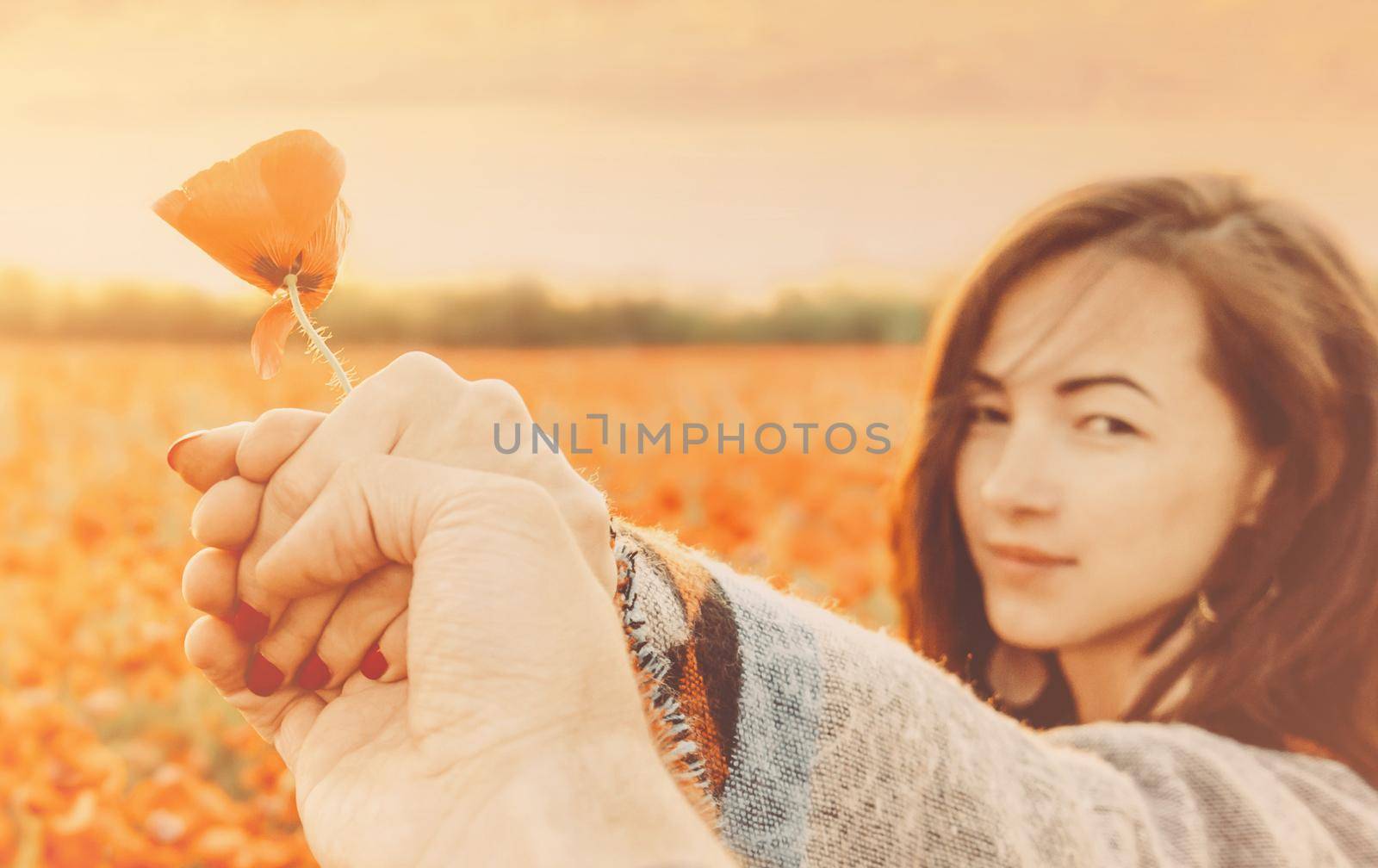 Beautiful young woman holding male hand with poppy flower, point of view shot. Focus on hand.