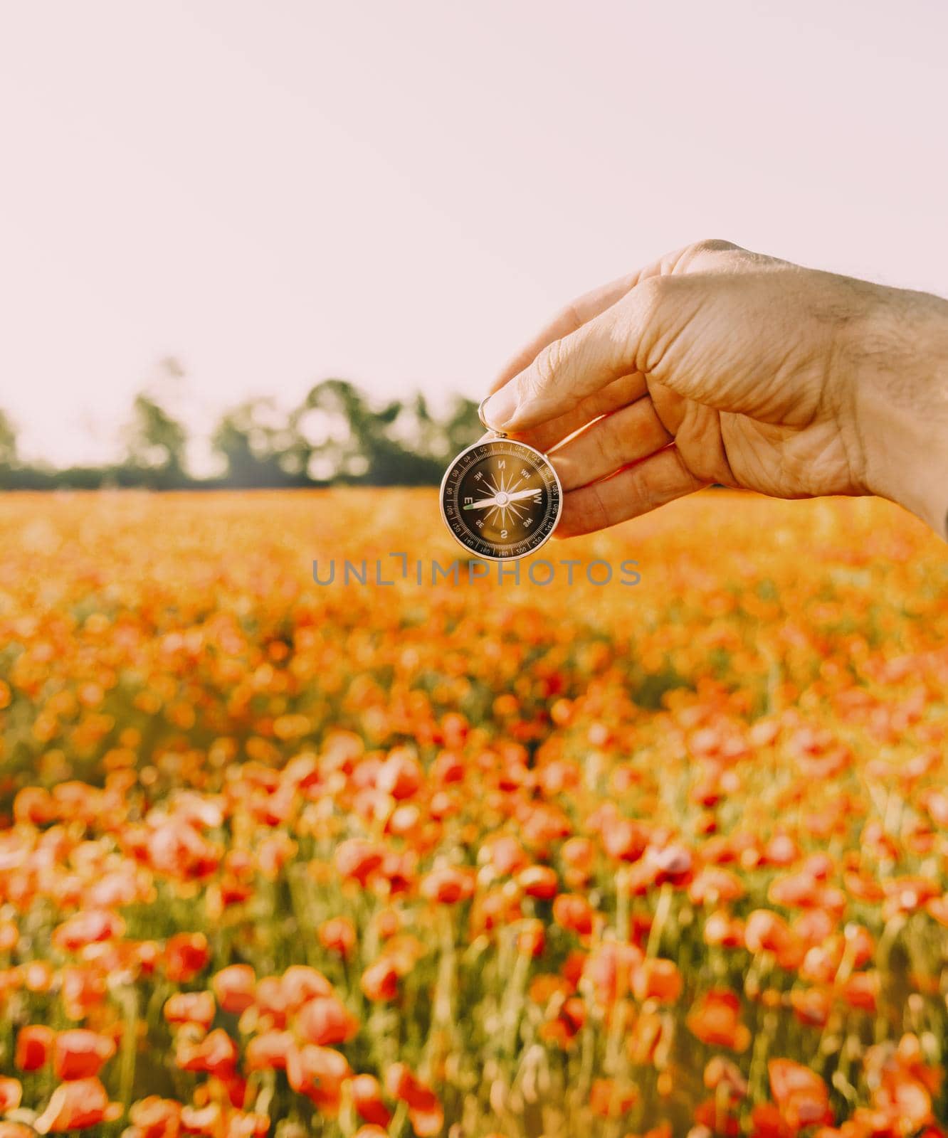 Male hand with compass searching direction on background of red poppies meadow in summer day, point of view.