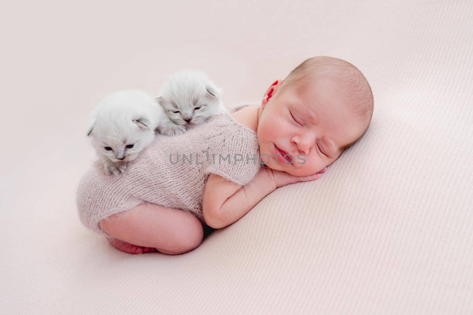 Adorable newborn baby boy sleeping on his tummy and two little fluffy kittens sitting on his back. Cute infant kid napping with small cats during studio photoshoot