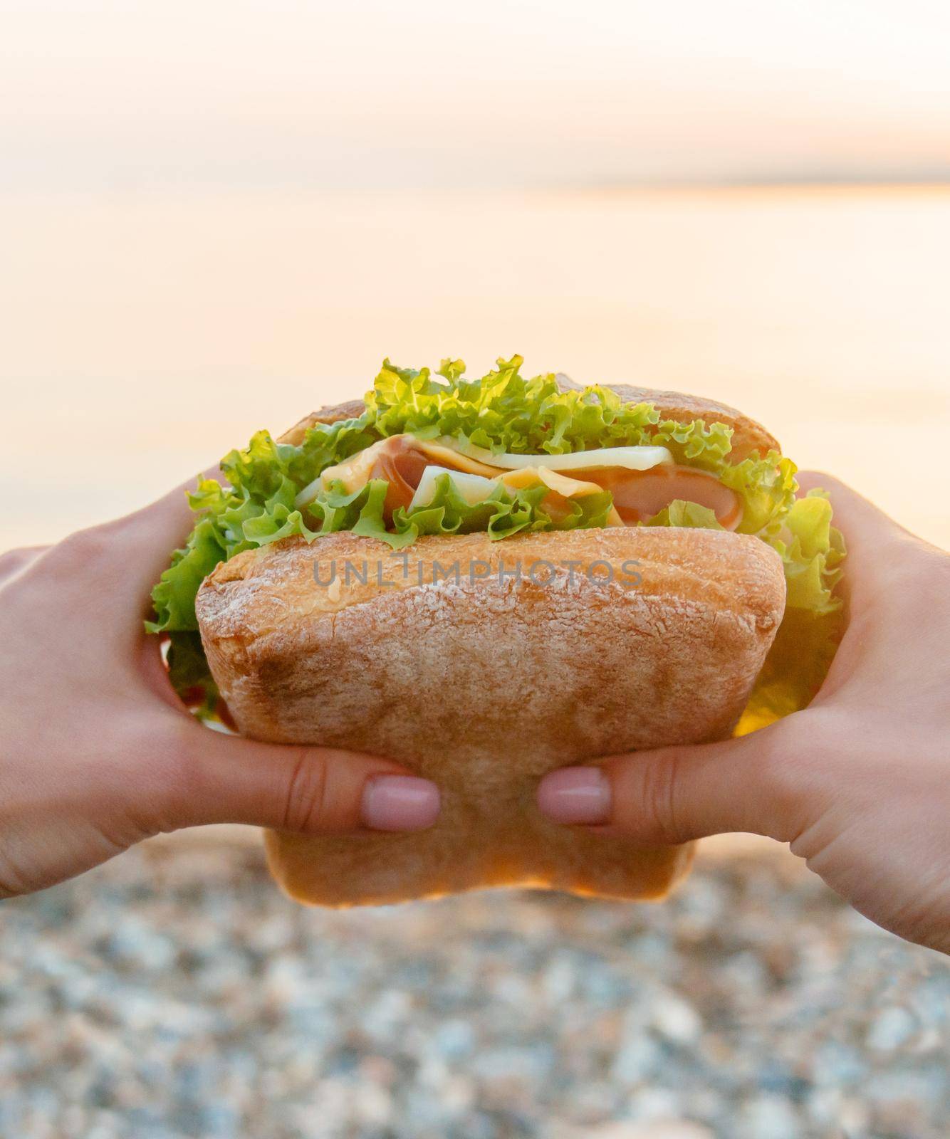 Female hands holding fast food burger sandwich outdoor, point of view. Close-up.