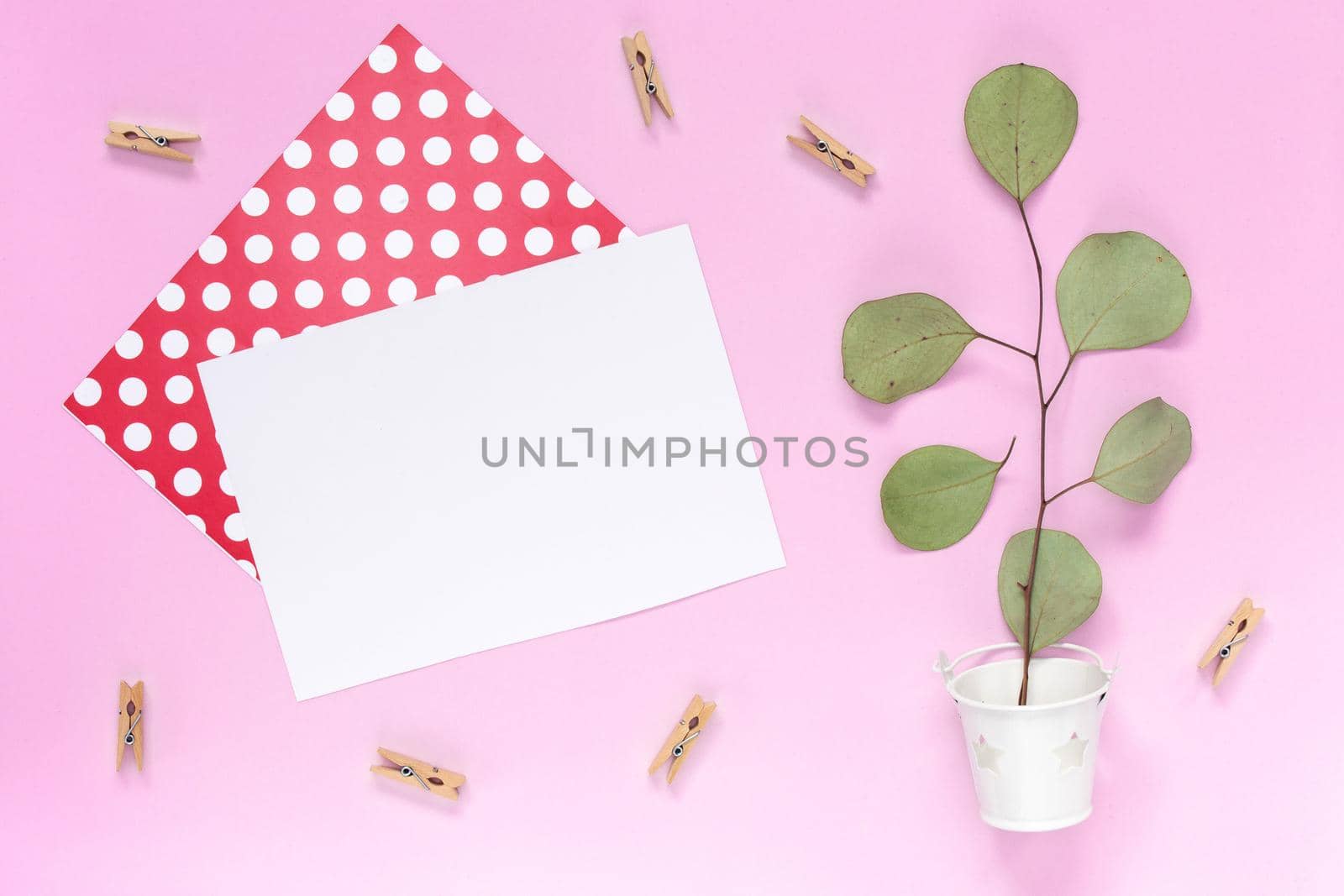 Top view on A sprig with leaves in a white bucket with a white greeting card on a plain pink background with an area for text