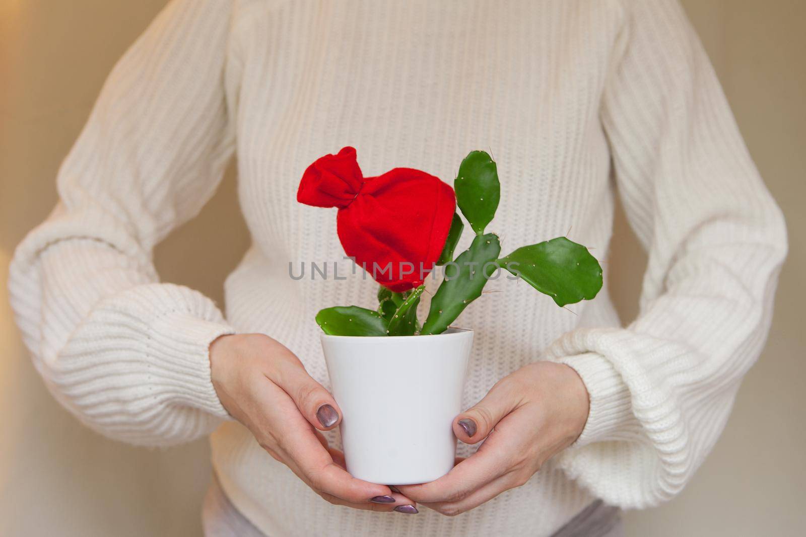 woman holding in her hands green cactus with red Santa hat in white pot. Christmas gift or new year concept