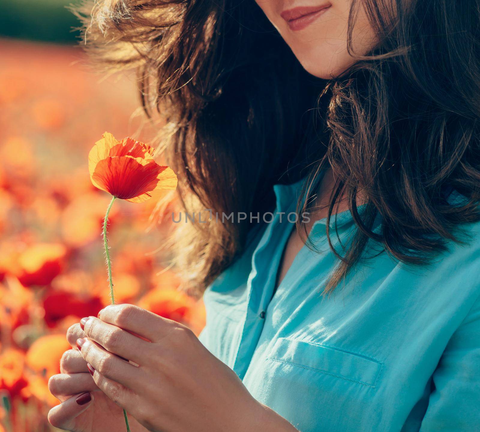 Red poppy in female hands outdoor. Unrecognizable smiling woman with flower.