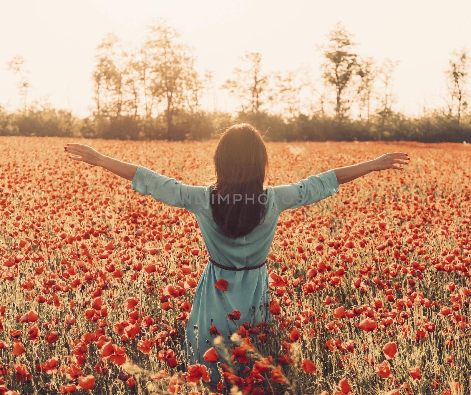 Rear view of brunette young woman wearing in blue dress walking with raised arms in flower meadow and enjoying of freedom in summer.