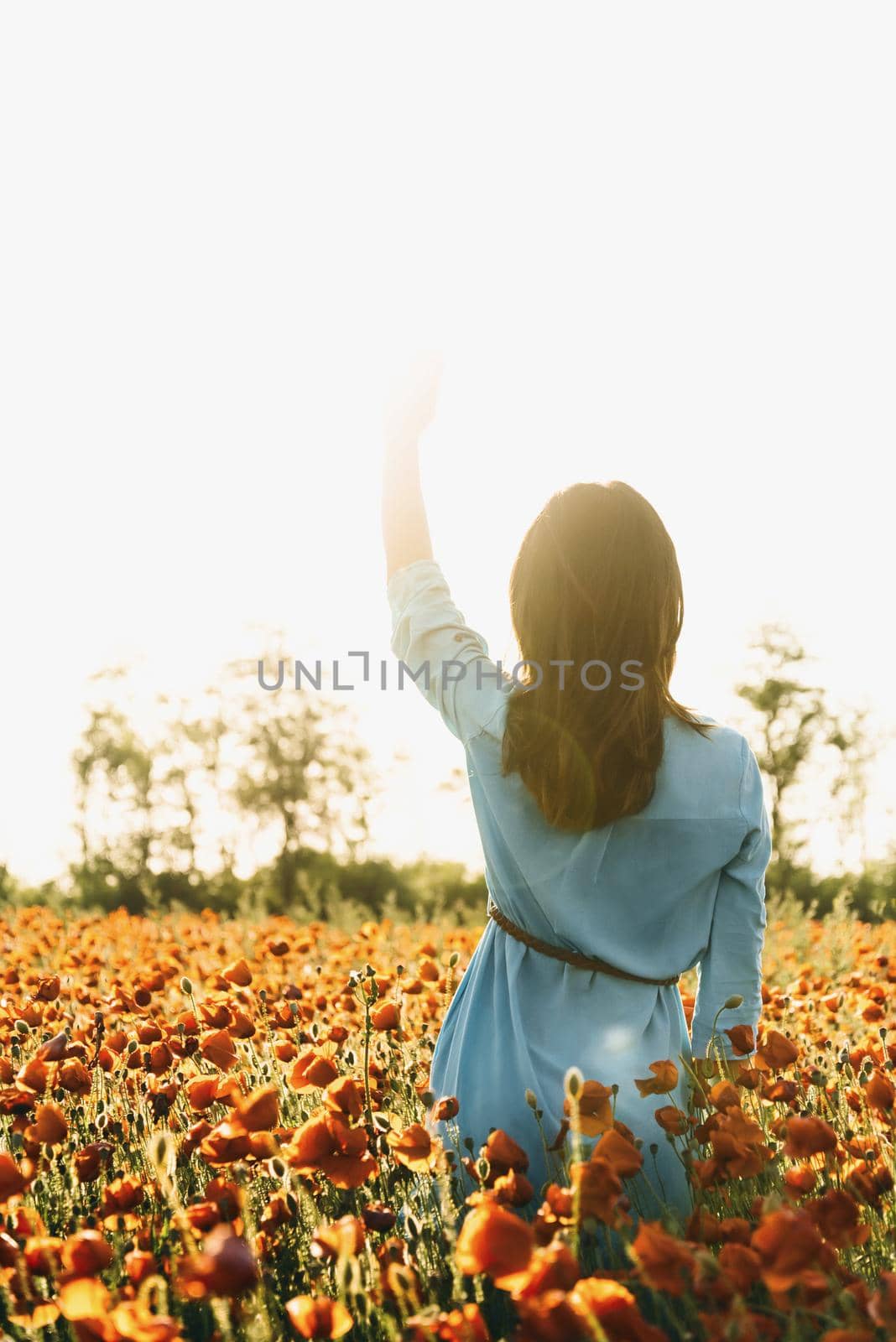 Back view of brunette young woman walking in red poppy flower field on sunny summer day. Romantic girl waving her hand to the sun.