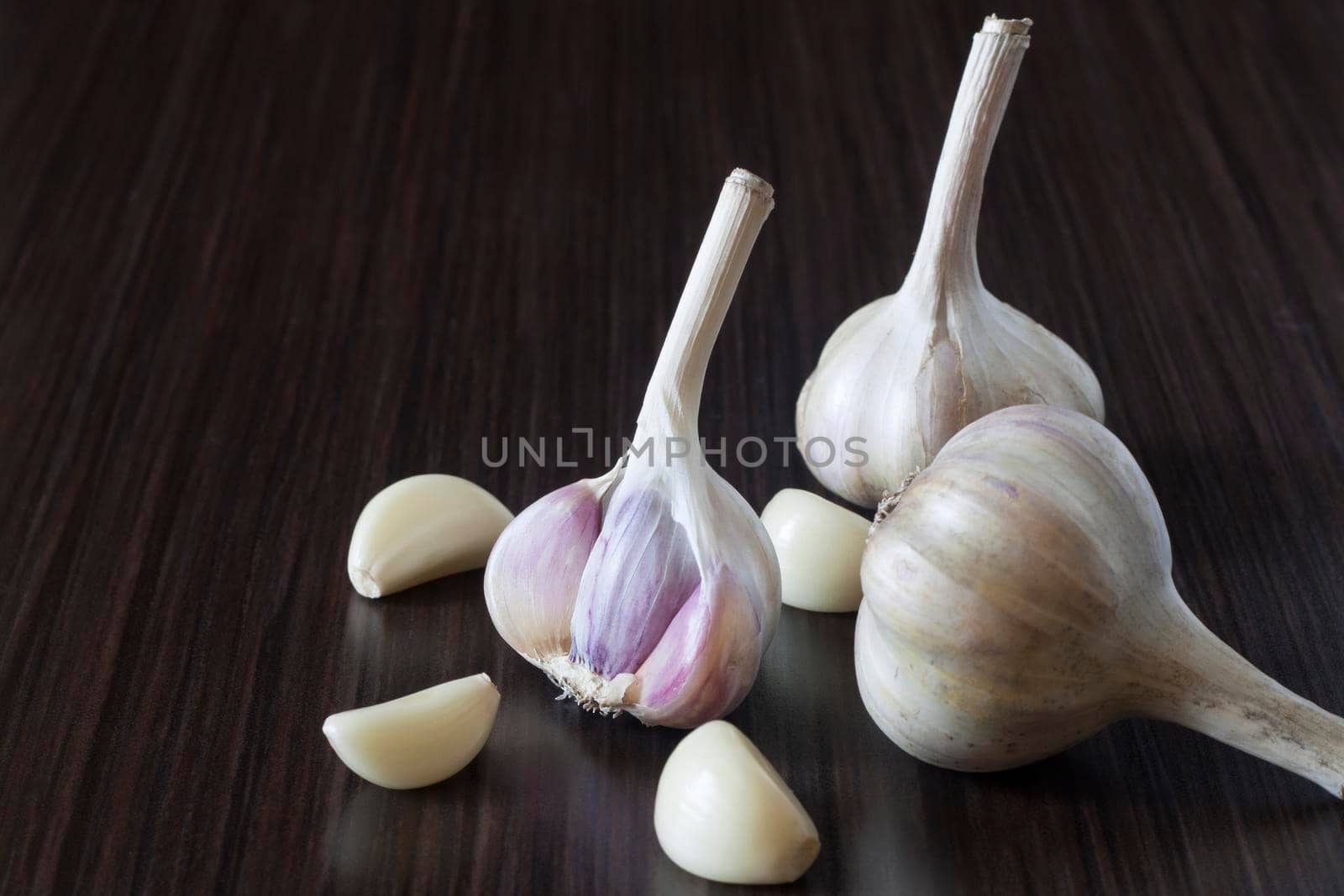 Garlic on a dark background
