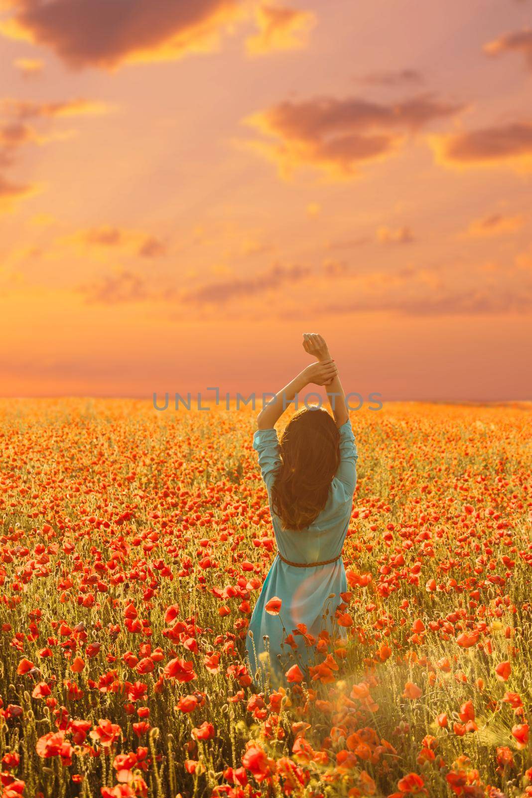 Romantic brunette young woman walking in poppy flower field in summer outdoor.